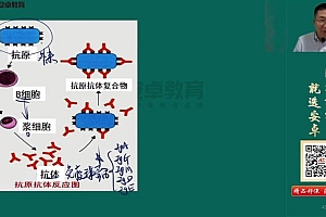 【安卓网校】2023临床执业(助理)医师 网盘下载(109.56G)