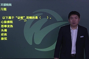 【文都医学】2023中医内科学(315) 网盘下载(41.50G)