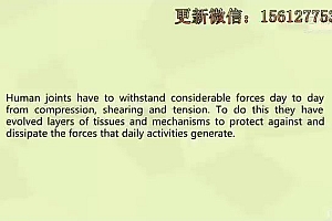 英语笔译考试“套路”三十二讲 (完结) 网盘下载(8.60G)