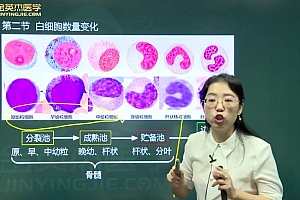 金英杰:2023年临床医学检验主管技师定制精品班 网盘下载(21.01G)