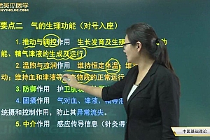 金英杰:2023年中医主治(骨伤学328) 网盘下载(17.96G)