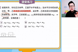 【2022春】初二物理菁英班(王彦虎) 网盘下载(11.79G)