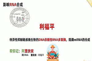 【药师帮】2023执业西药师 网盘下载(16.10G)