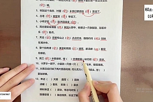 文老师的基础知识课(二) 网盘下载(16.56G)