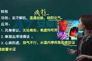 【安卓网校】2023初级中药士 网盘下载(33.16G)
