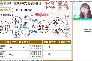 【2022春】高一生物尖端班谢一凡 网盘下载(8.95G)