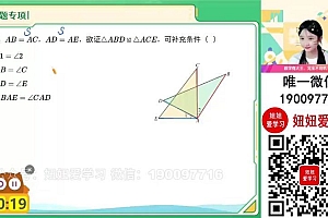 【2023秋上】初二数学人教 李爽 A+ 16 网盘下载(8.44G)