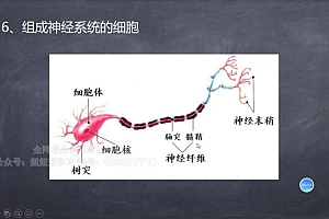 2022秋高中期中提升课 网盘下载(3.27G)