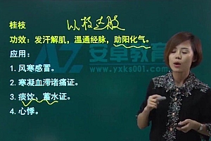 【安卓网校】2023主管中药师 网盘下载(39.94G)