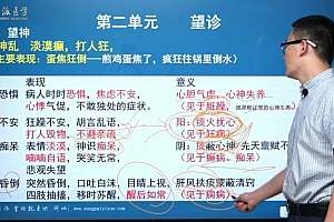 【王派】2022中医二试 网盘下载(61.54G)