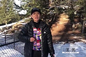 清明知识脱口秀2019 网盘下载(597.36M)