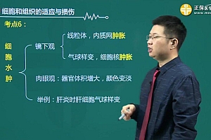 【医学教育网】2024西医综合 网盘下载(44.02G)