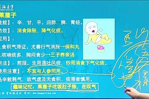 【王派】2022年中医执业(助理)医师二试7天6夜笔试面授冲刺班 网盘下载(61.11G)