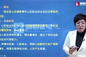【昭昭医考】2023年中医执业(助理) 网盘下载(209.13G)