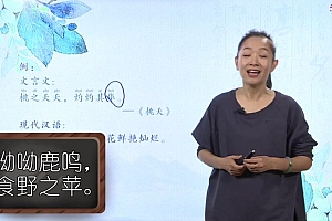 穿越历史线,吃透小古文 网盘下载(22.61G)