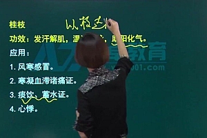 【安卓网校】2023初级中药师 网盘下载(36.70G)