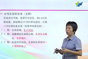 【星恒】高级催乳师精品课程 网盘下载(5.88G)