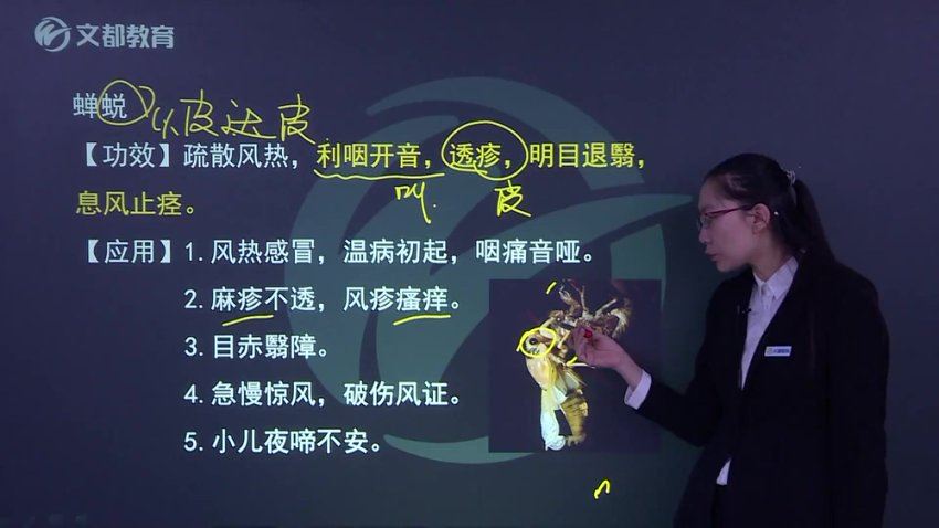 【文都医学】2023主管中药师（367） 网盘下载(33.40G)