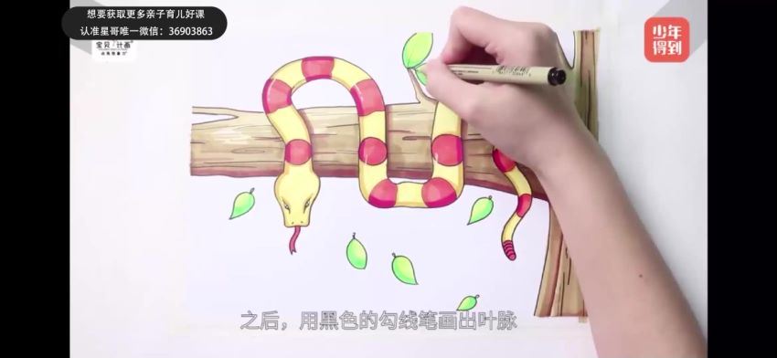 创意绘画课·单词变动物 网盘下载(3.37G)