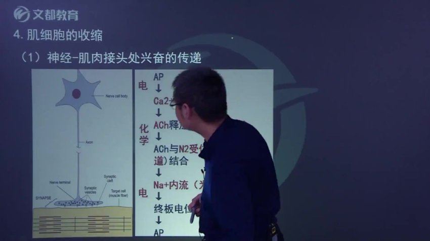 【文都医学】2023初级药师（201） 网盘下载(26.20G)