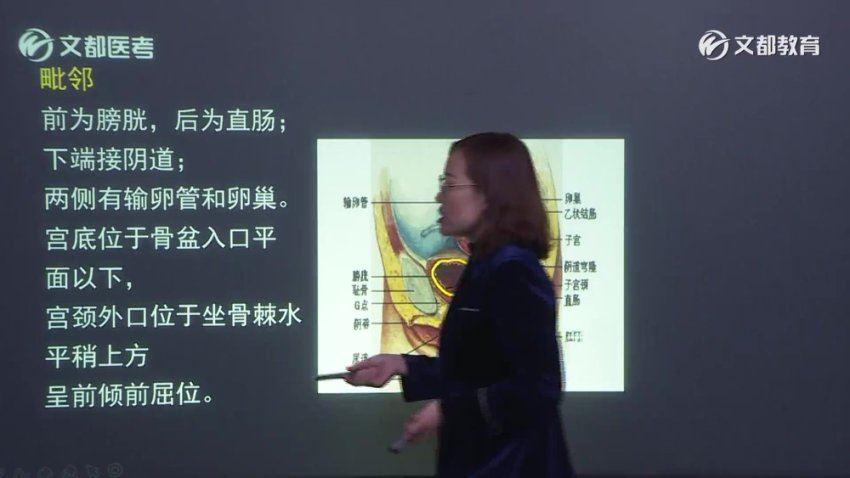 【文都医学】2023妇产科学主治 网盘下载(29.93G)