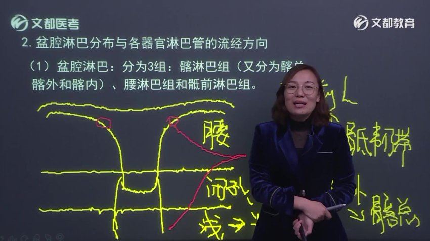 【文都医学】2023妇产科学主治 网盘下载(29.93G)