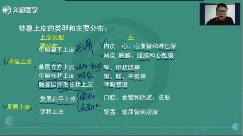 【文都医学】2023初级放射技士（104） 网盘下载(11.91G)