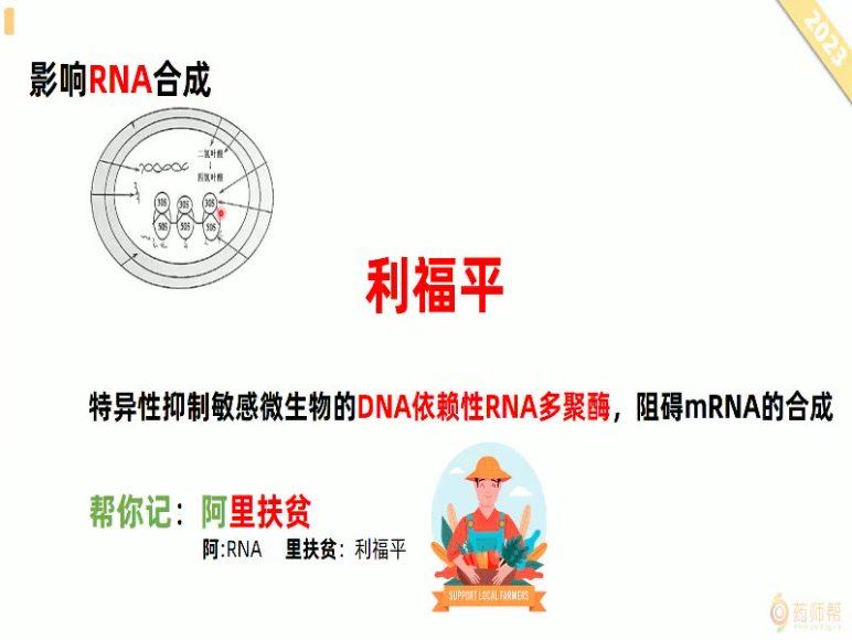【药师帮】2023执业西药师 网盘下载(16.10G)