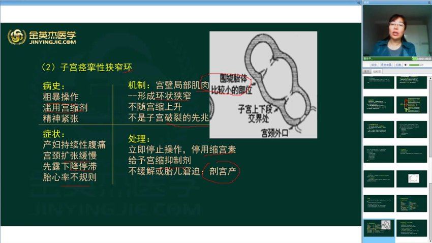 金英杰：2023年临床主治（妇科学）定制精品班 网盘下载(17.56G)