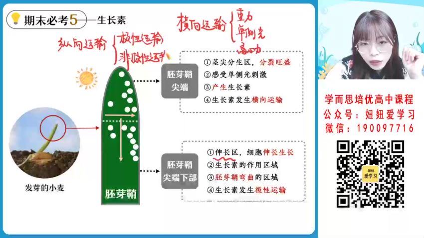 【2023寒】高二生物谢一凡A+ 19 网盘下载(4.97G)