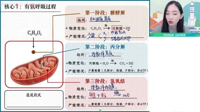 【2022寒】高二生物尖端班杨雪 网盘下载(3.37G)