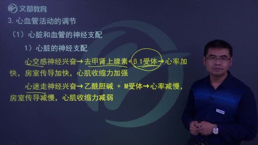 【文都医学】2023主管药师（366） 网盘下载(29.17G)