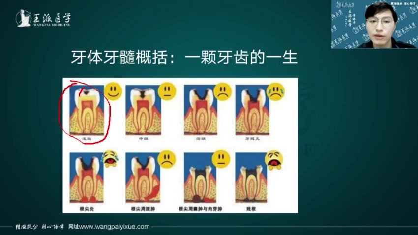 【王派】2023年口腔执业助理医师直播陪学高端班 网盘下载(48.48G)