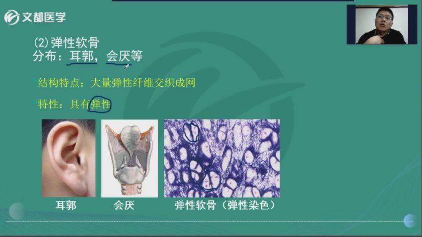 【文都医学】2023主管放射技师（376） 网盘下载(36.53G)