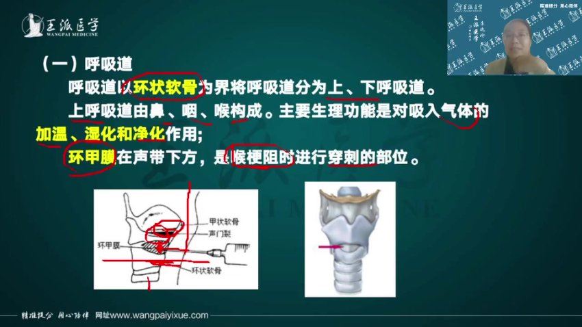 【王派】2023年主管护师直播陪学高端班 网盘下载(33.98G)