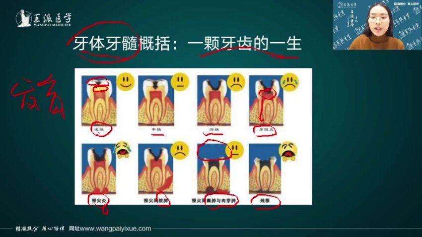 【王派】2023年口腔执业医师直播陪学高端班 网盘下载(57.17G)