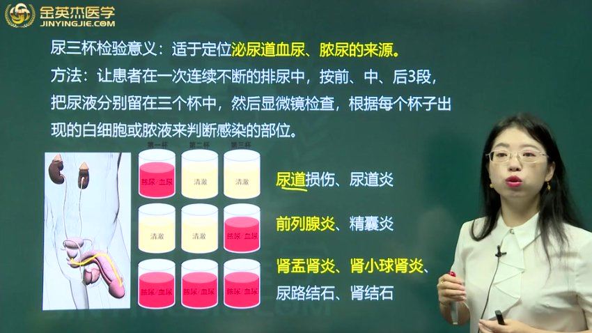 金英杰：2023年临床医学检验技士定制精品班 网盘下载(21.01G)