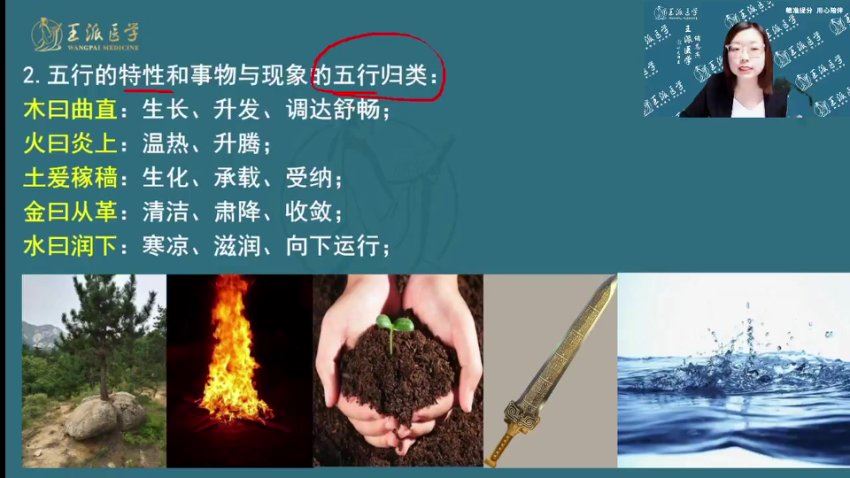 【王派】2023年中西医执业助理医师直播陪学高端班 网盘下载(66.75G)