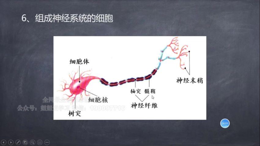 2022秋高中期中提升课 网盘下载(3.27G)