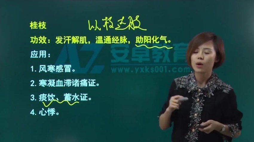 【安卓网校】2023主管中药师 网盘下载(39.94G)