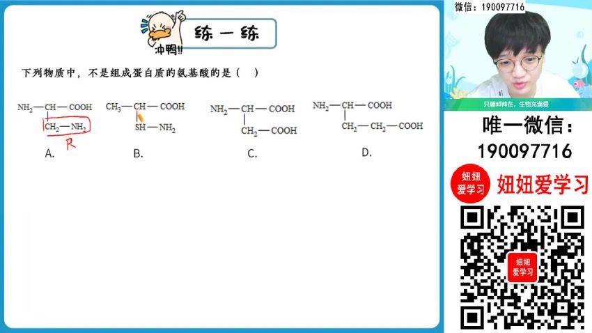 【2023秋上】高一生物 邓康尧 A+ 17 网盘下载(6.31G)