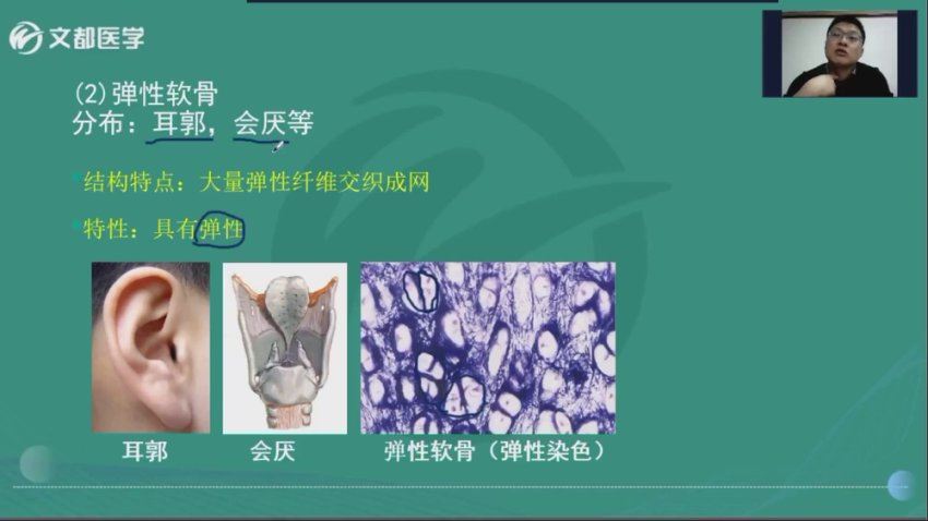 【文都医学】2023初级放射技士（104） 网盘下载(11.91G)