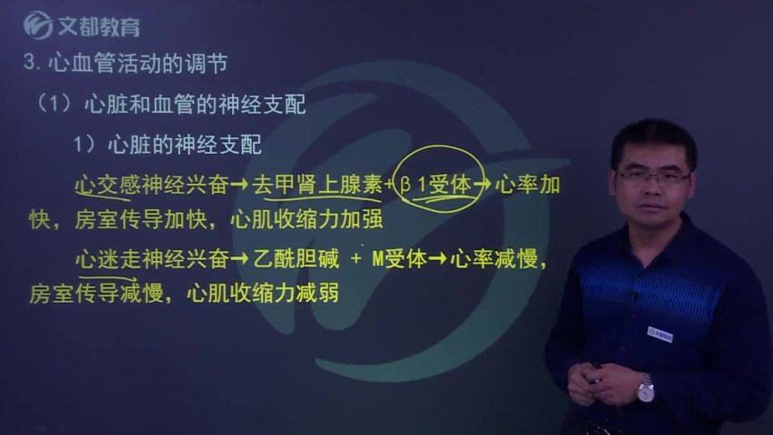 【文都医学】2023初级药士（101） 网盘下载(23.41G)