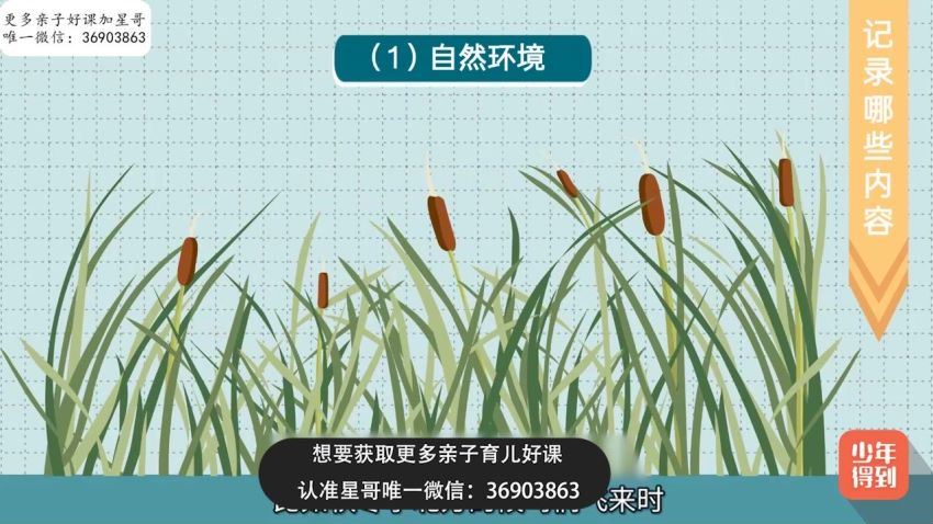 小学新教材作文通关丨日记周记 网盘下载(1.18G)