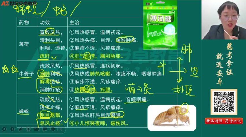 【安卓网校】2023执业中药师 网盘下载(19.88G)