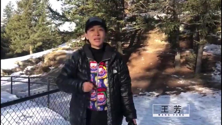 清明知识脱口秀2019 网盘下载(597.36M)