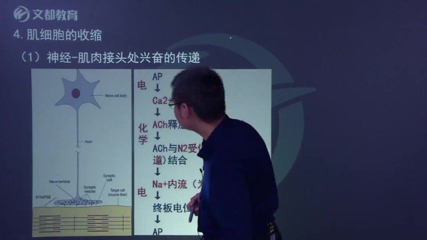 【文都医学】2023主管药师（366） 网盘下载(29.17G)
