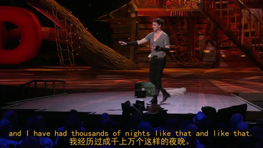 100天ted训练营 网盘下载(14.11G)