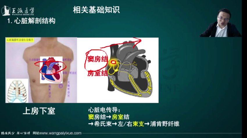 【王派】2023年临床执业医师直播陪学高端班 网盘下载(79.12G)