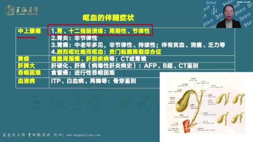 【王派】2023年临床内科主治医师高端班 网盘下载(33.70G)